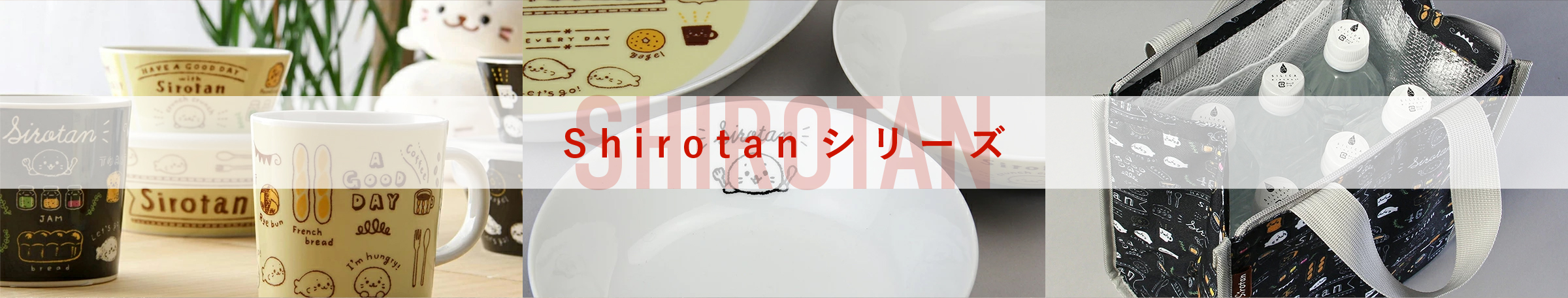 mv_shirotan